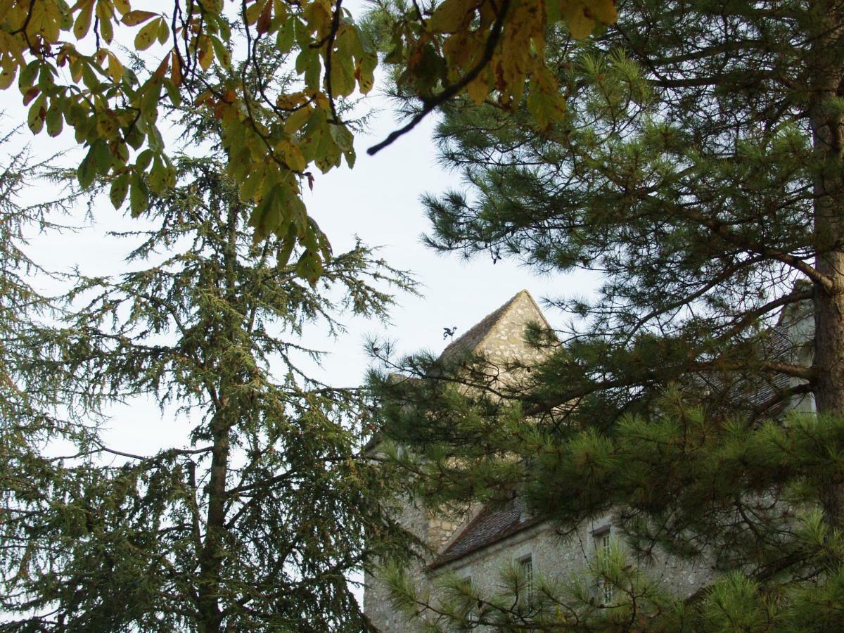 Chateau De Montrame Soisy-Bouy Dış mekan fotoğraf