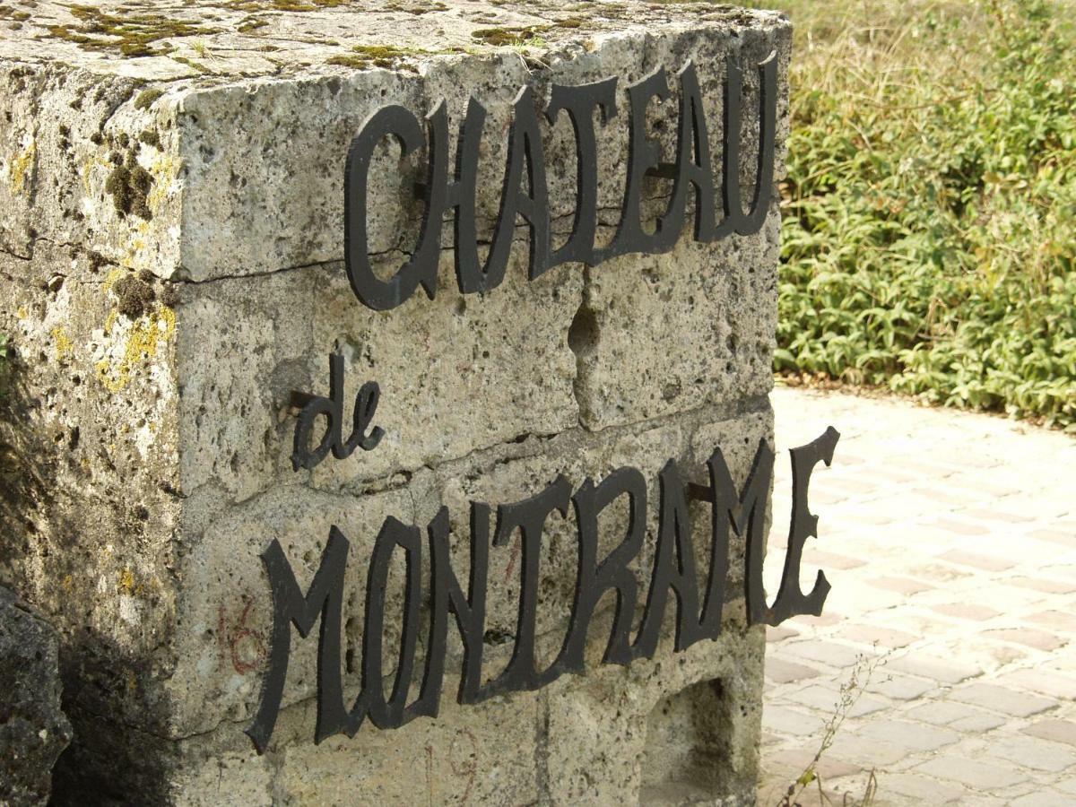 Chateau De Montrame Soisy-Bouy Dış mekan fotoğraf